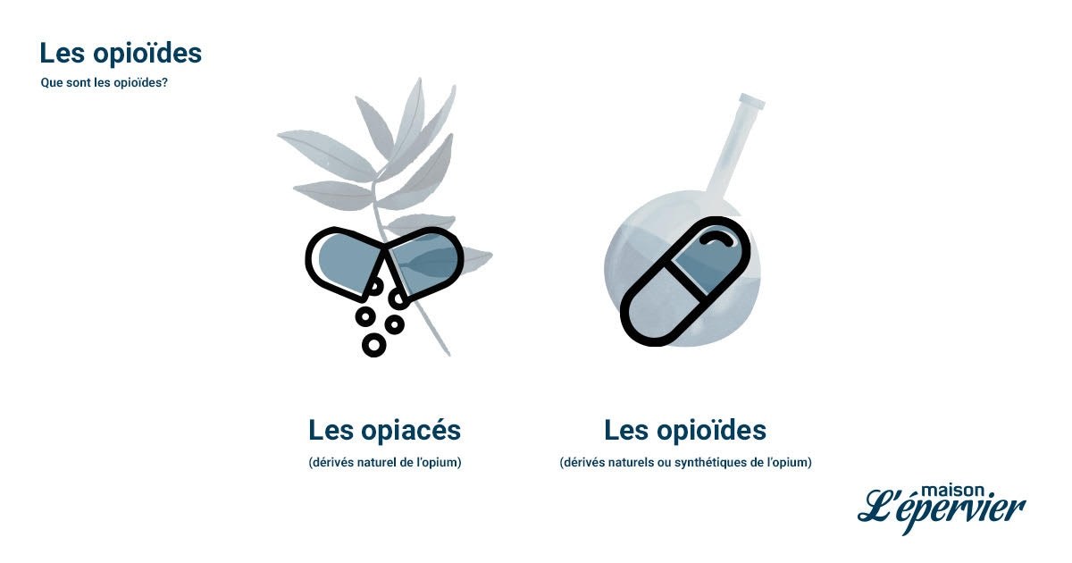 La différence entre opioïde et opiacé